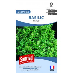 Graines de basilic pistou
