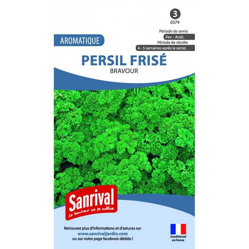 Graines de Persil frisé Bravour Graines de Persil frisé Bravour