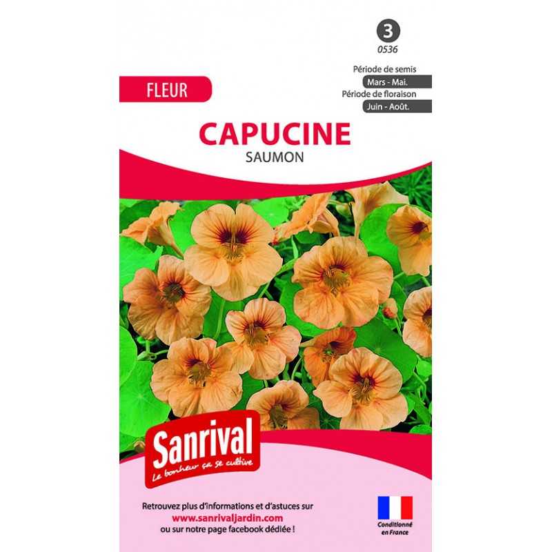 Graines de capucine saumon