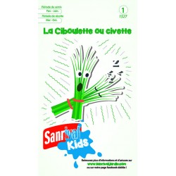 Ciboulette ou civette