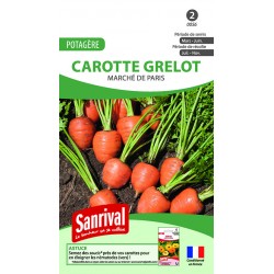 graines de CAROTTE GRELOT "MARCHE DE PARIS"
