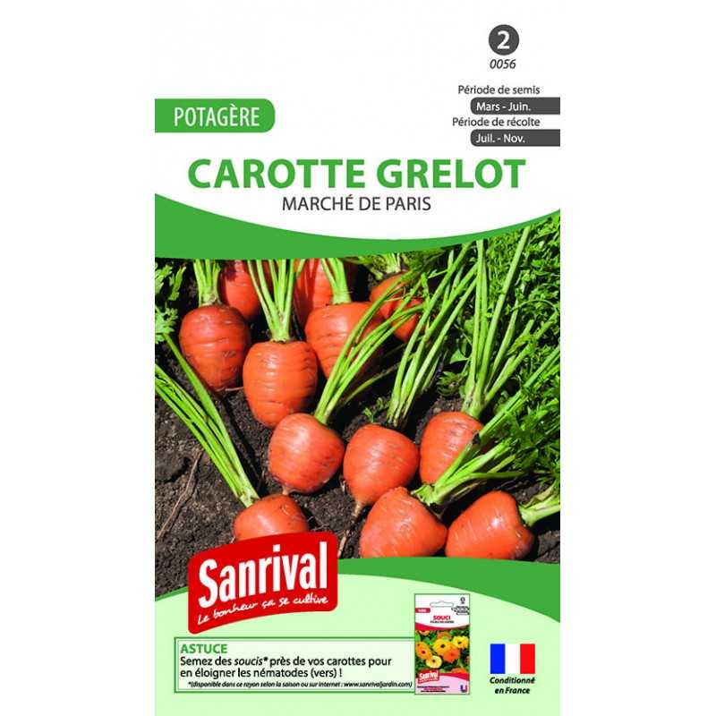 graines de CAROTTE GRELOT "MARCHE DE PARIS" graines de CAROTTE GRELOT "MARCHE DE PARIS"