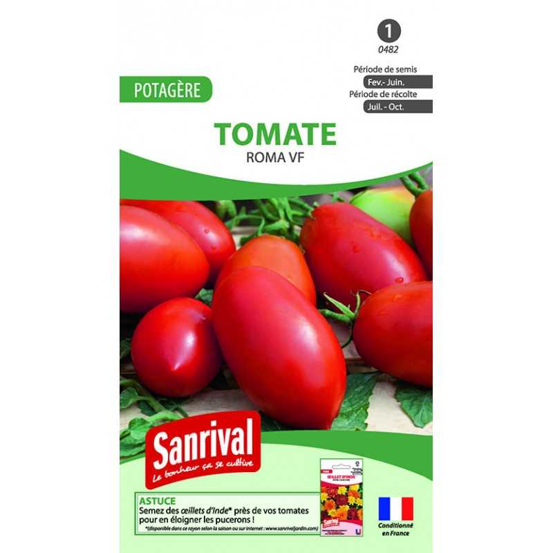 Graines de tomate Roma Graines de tomate Roma