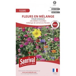 M&eacute;lange de fleurs pour oiseaux