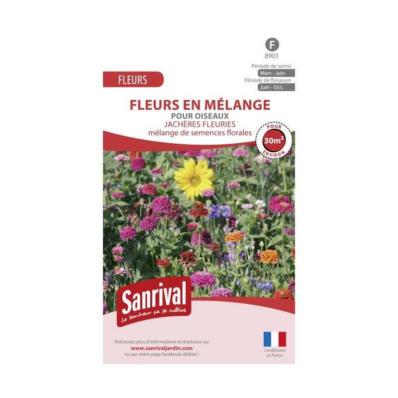 Mélange de fleurs pour oiseaux