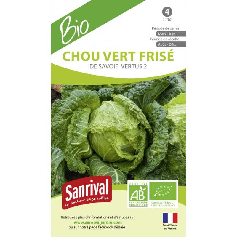 graines de CHOU VERT FRISE