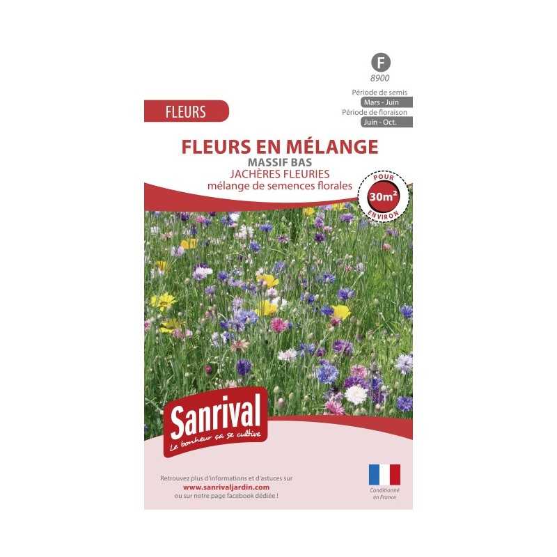 Mélange de fleurs pour massif bas Mélange de fleurs pour massif bas