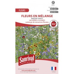 Graines de fleurs en m&eacute;lange pour massif haut