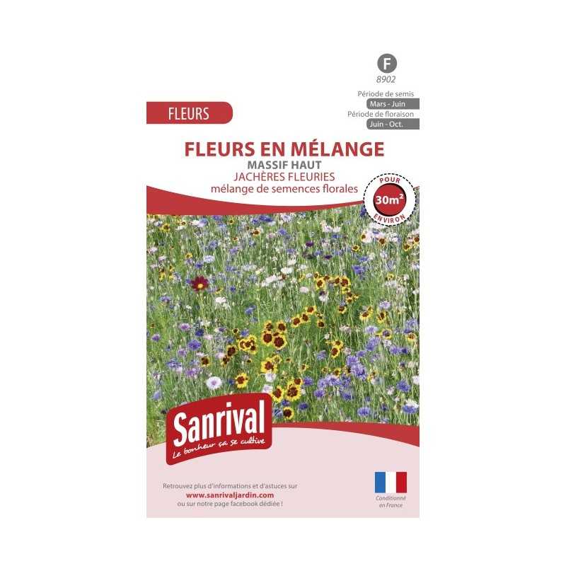 Graines de fleurs en mélange pour massif haut Graines de fleurs en mélange pour massif haut