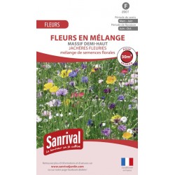 M&eacute;lange de graines de fleurs pour massif demi-haut