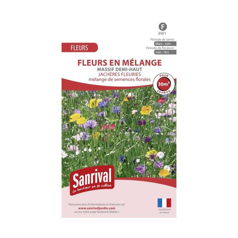 Mélange de graines de fleurs pour massif demi-haut Mélange de graines de fleurs pour massif demi-haut