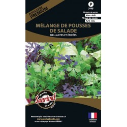graines M&eacute;lange de pousses de salades Brillantes et &eacute;pic&eacute;es
