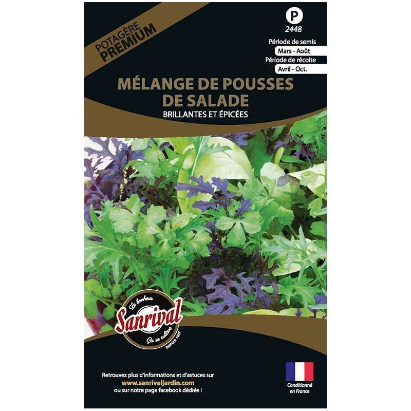 graines Mélange de pousses de salades Brillantes et épicées graines Mélange de pousses de salades Brillantes et épicées