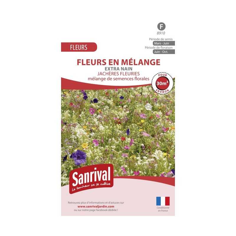 Graines de fleurs en mélange pour massif extra nain Graines de fleurs en mélange pour massif extra nain