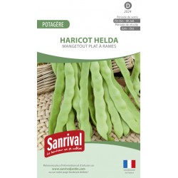 Graines de Haricot Helda plat mangetout &agrave; rames