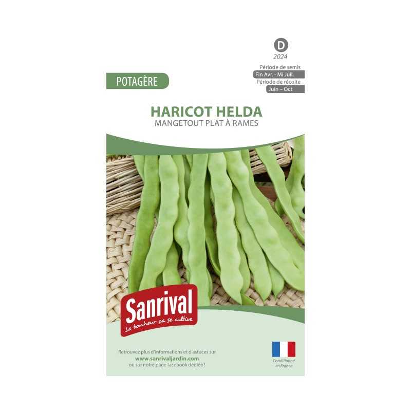 Graines de Haricot Helda plat mangetout à rames Graines de Haricot Helda plat mangetout à rames
