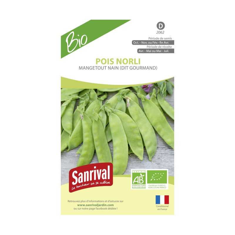 Graines de Pois Norli Mangetout Graines de Pois Norli Mangetout