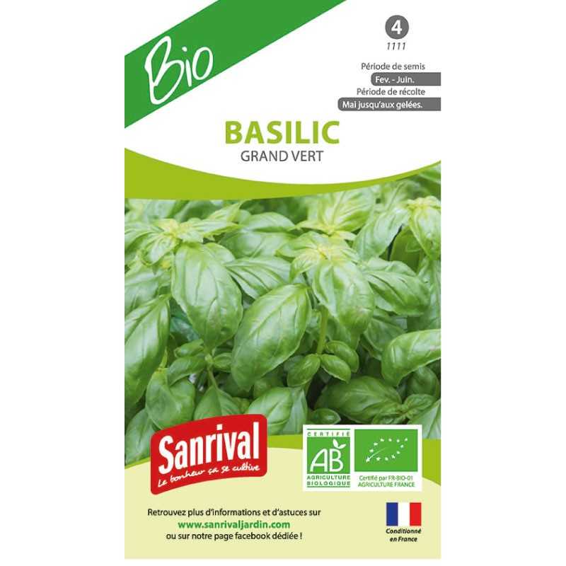 Graines bio de Basilic grand vert Graines bio de Basilic grand vert