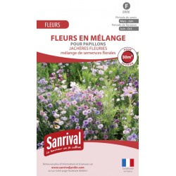Graines de fleurs en m&eacute;lange pour papillons