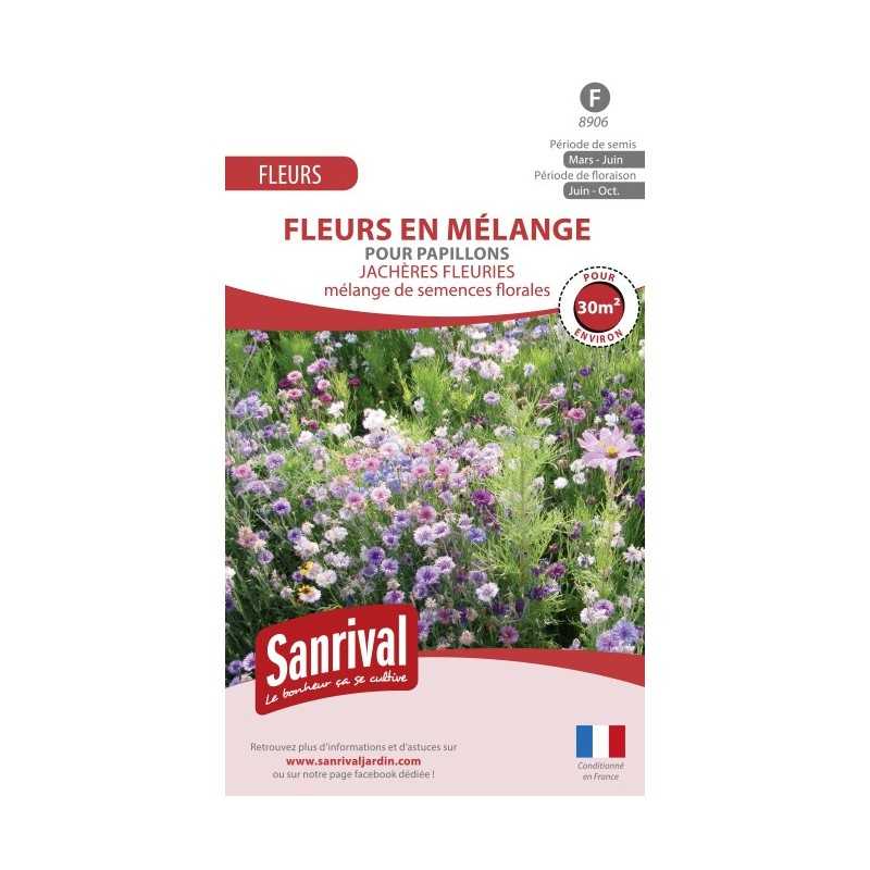 Graines de fleurs en mélange pour papillons Graines de fleurs en mélange pour papillons
