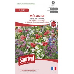 Graines de fleurs en m&eacute;lange pour terrains ombrag&eacute;s