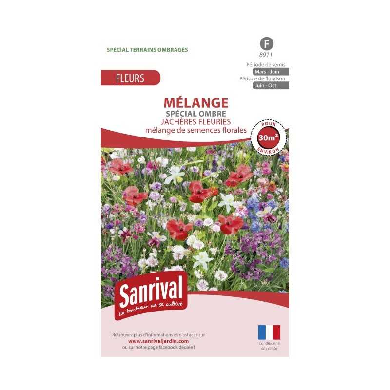 Graines de fleurs en mélange pour terrains ombragés Graines de fleurs en mélange pour terrains ombragés