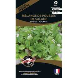 M&eacute;lange de pousses de salade Coupe et repousse