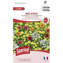 M&eacute;lange de graines de fleurs tol&eacute;rantes &agrave; la s&eacute;cheresse