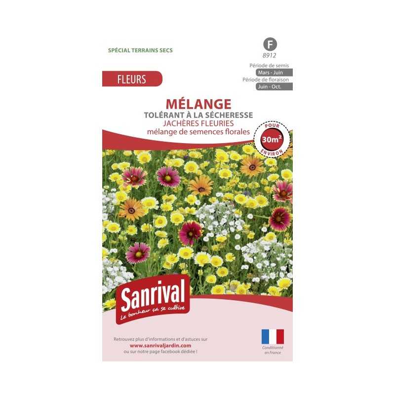 Mélange de graines de fleurs tolérantes à la sécheresse Mélange de graines de fleurs tolérantes à la sécheresse