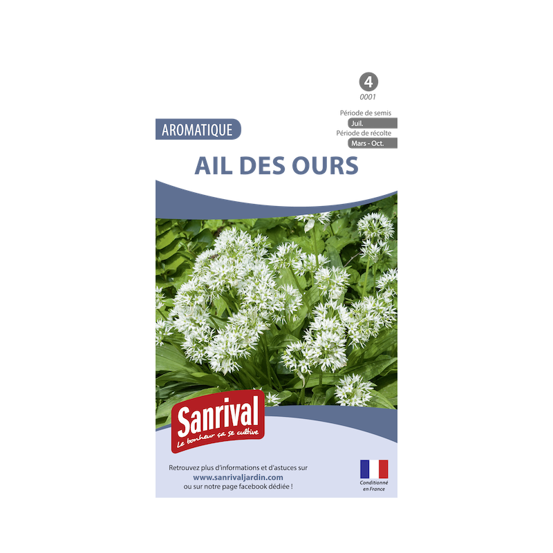 Graines d'Ail des ours Graines d'Ail des ours