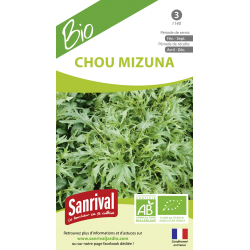 Chou mizuna
