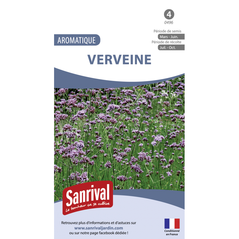 Graines de Verveine officinale Graines de Verveine officinale