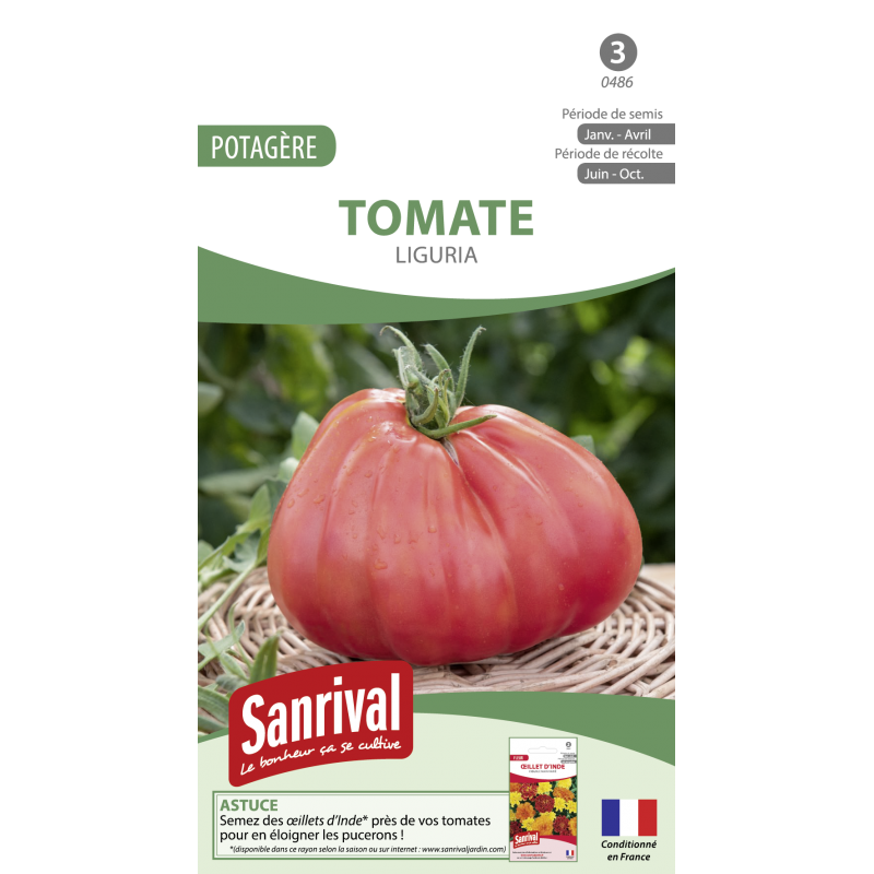Graines de tomate liguria Graines de tomate liguria