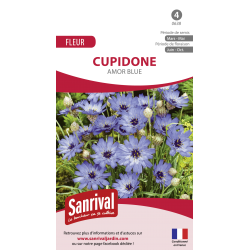 Cupidone Amor Blue
