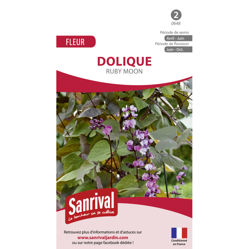 Graines de Dolique Ruby Moon Graines de Dolique Ruby Moon