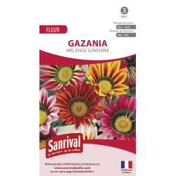 graines de gazania