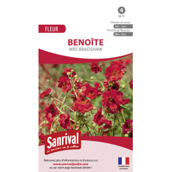 Benoîte Mrs. Bradshaw