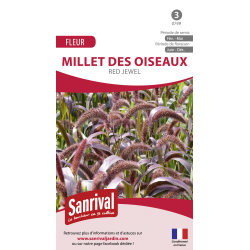 Millet des oiseaux Red Jewel