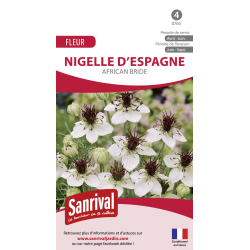 Nigelle d'Espagne African...
