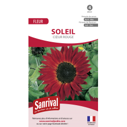Graines de soleil coeur rouge