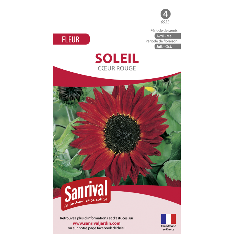 Graines de soleil coeur rouge