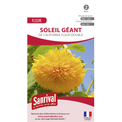 Graines de Soleil g&eacute;ant de Californie fleur double