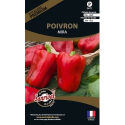 Poivron Mira