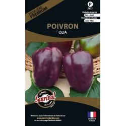 Poivron Oda