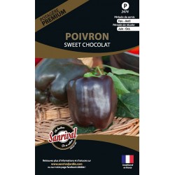 Poivron Sweet Chocolat
