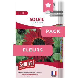Lot de graines FLEURS - Janvier