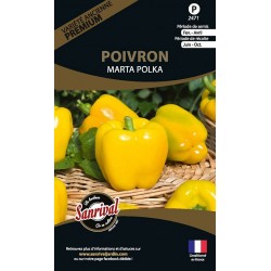 Poivron Marta Polka