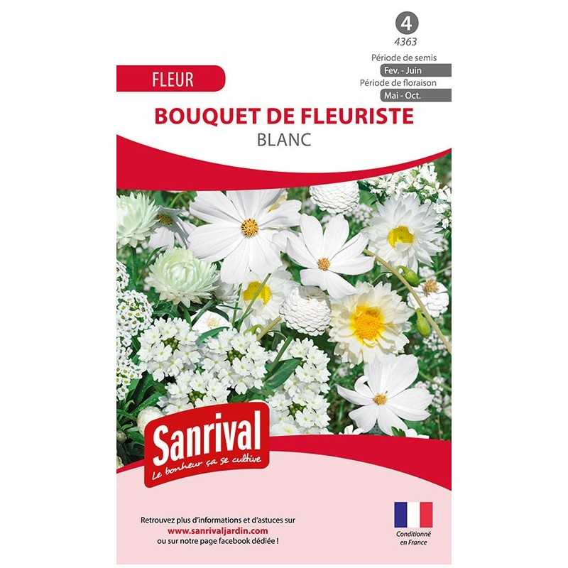 Graines de bouquet de fleuriste blanc Graines de bouquet de fleuriste blanc