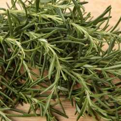herbe aromatique thym sec herbe aromatique thym sec