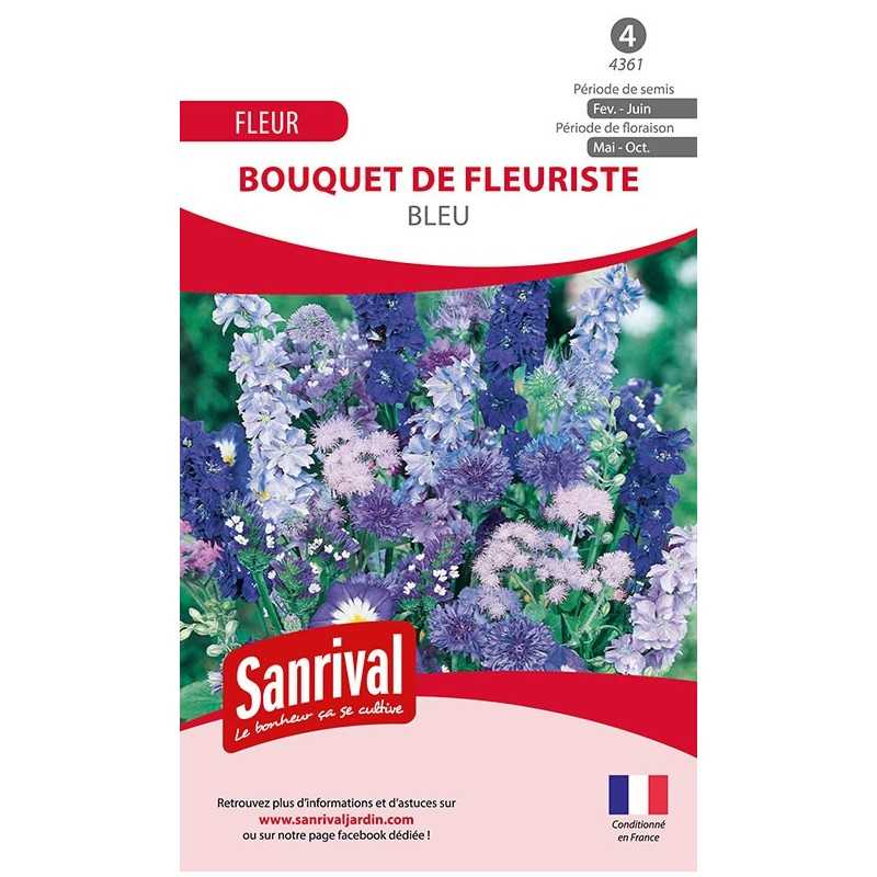 Graines de bouquet de fleuriste bleu